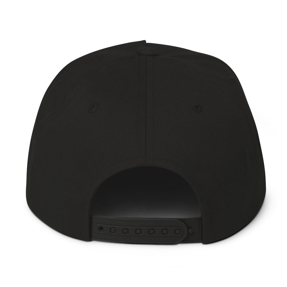 LivEƎvi⅃ flat bill cap in black, back view