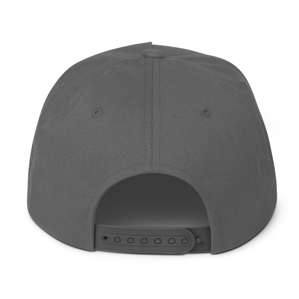 LivEƎvi⅃ flat bill cap in grey, back view