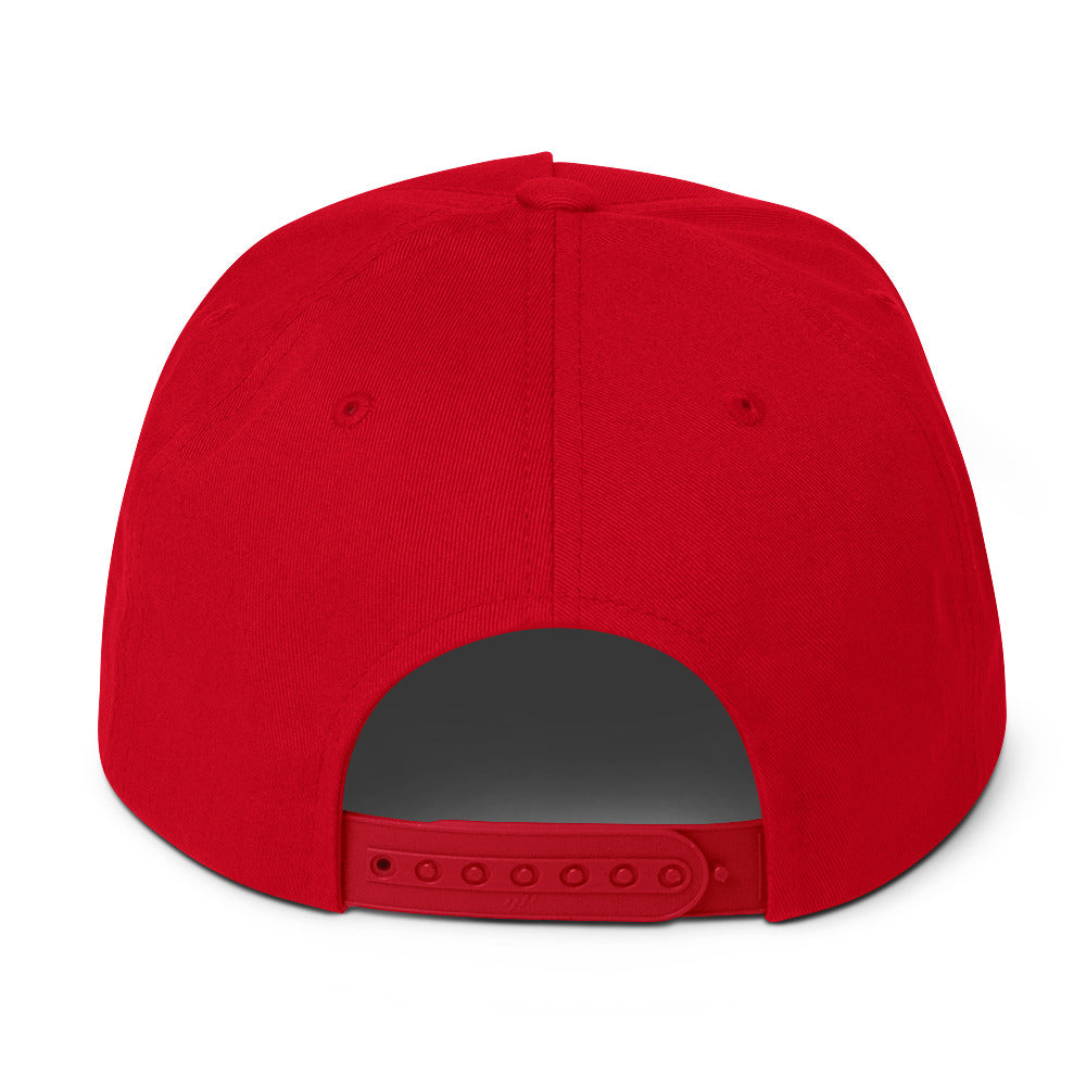 LivEƎvi⅃ flat bill cap in red, back view