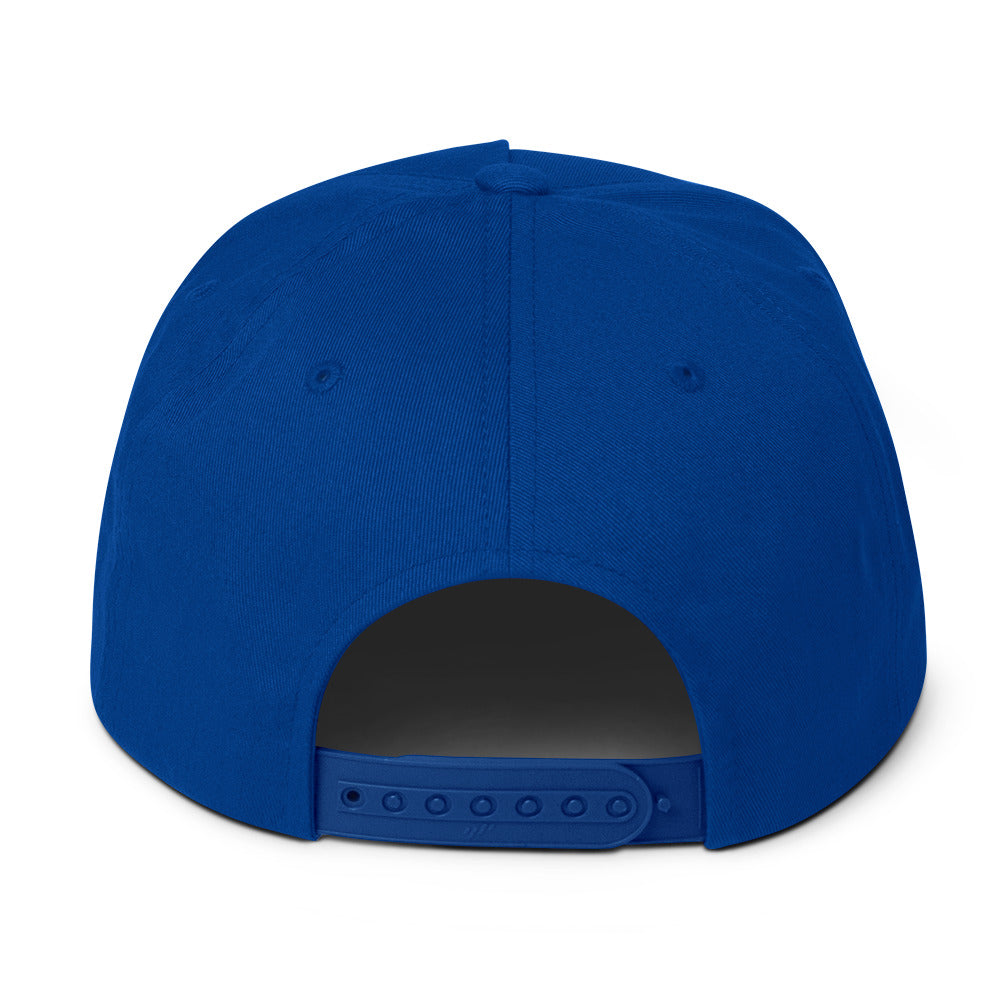 LivEƎvi⅃ flat bill cap in royal blue, back view