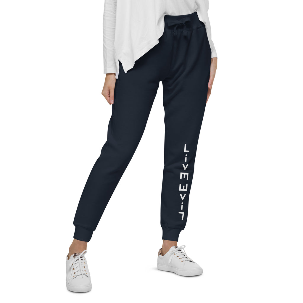 LivEƎvi⅃ After Dark fleece sweatpants in navy blazer, right front view