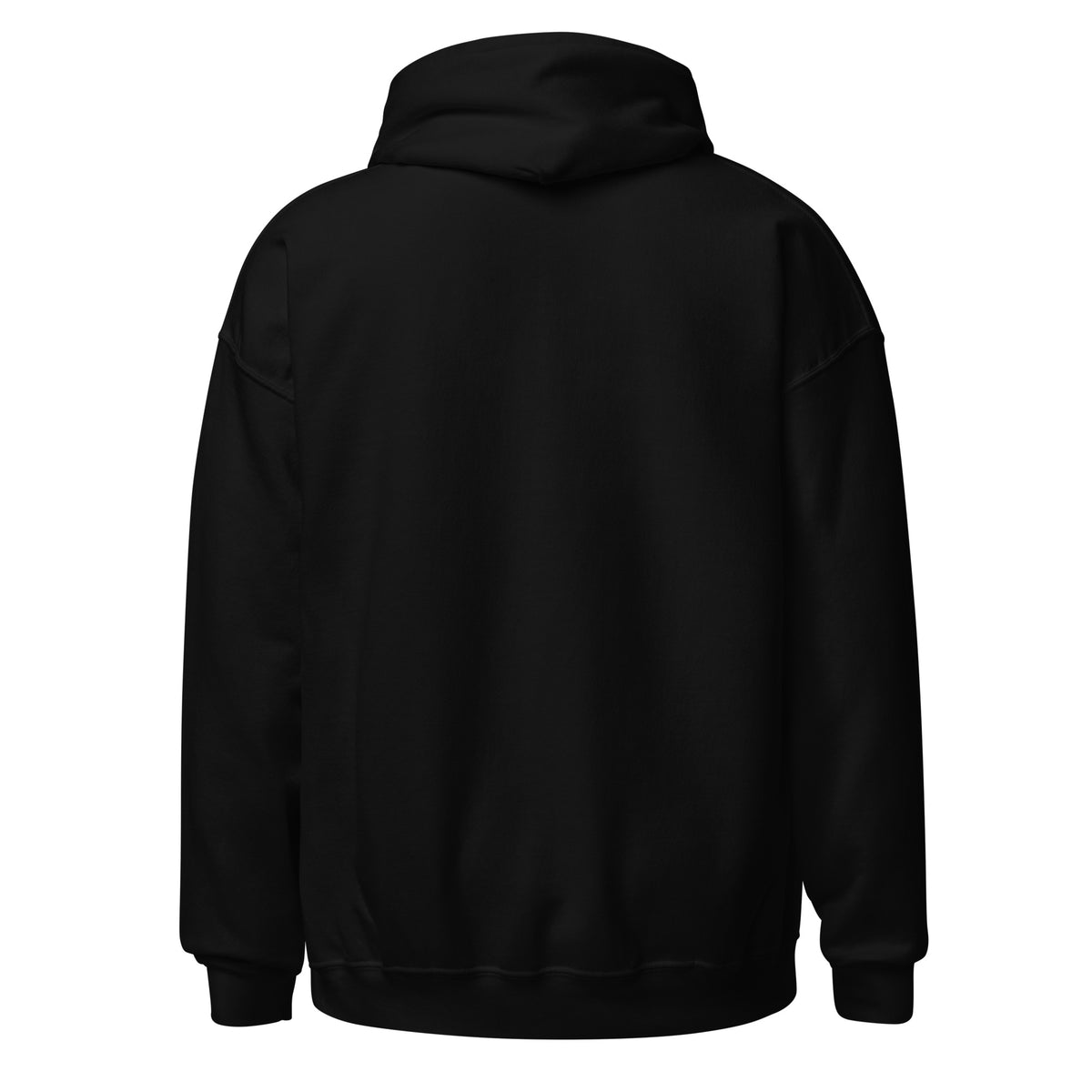 HAIL YOURSELF LivEƎvi⅃ Big & Tall graphic hoodie in black, back view