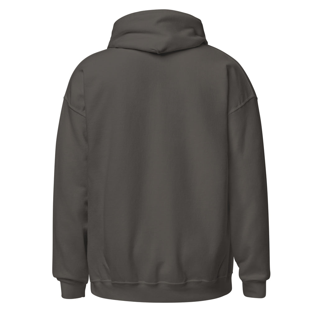 HAIL YOURSELF LivEƎvi⅃ Big & Tall graphic hoodie in charcoal, back view