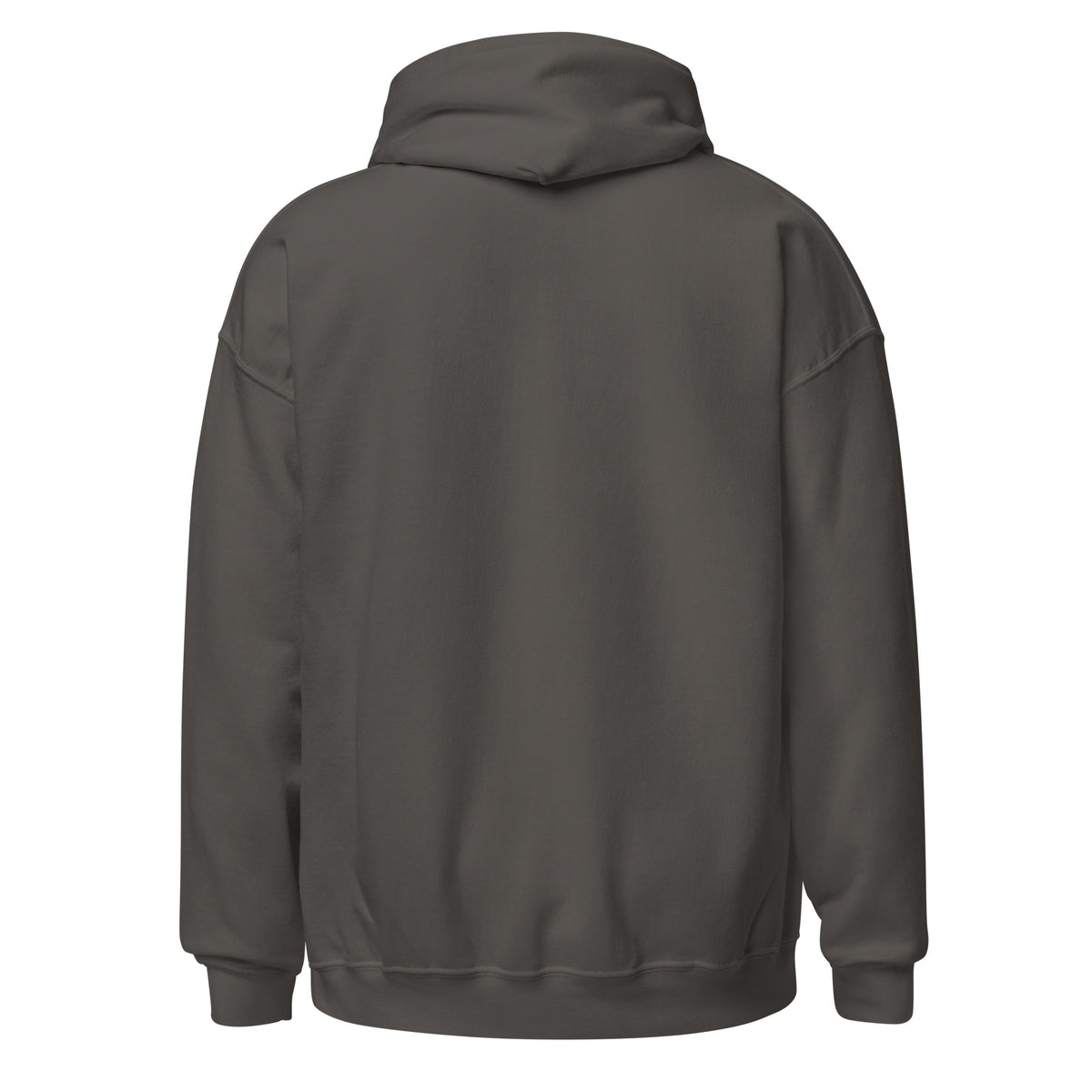 HAIL YOURSELF LivEƎvi⅃ Big & Tall graphic hoodie in charcoal, back view