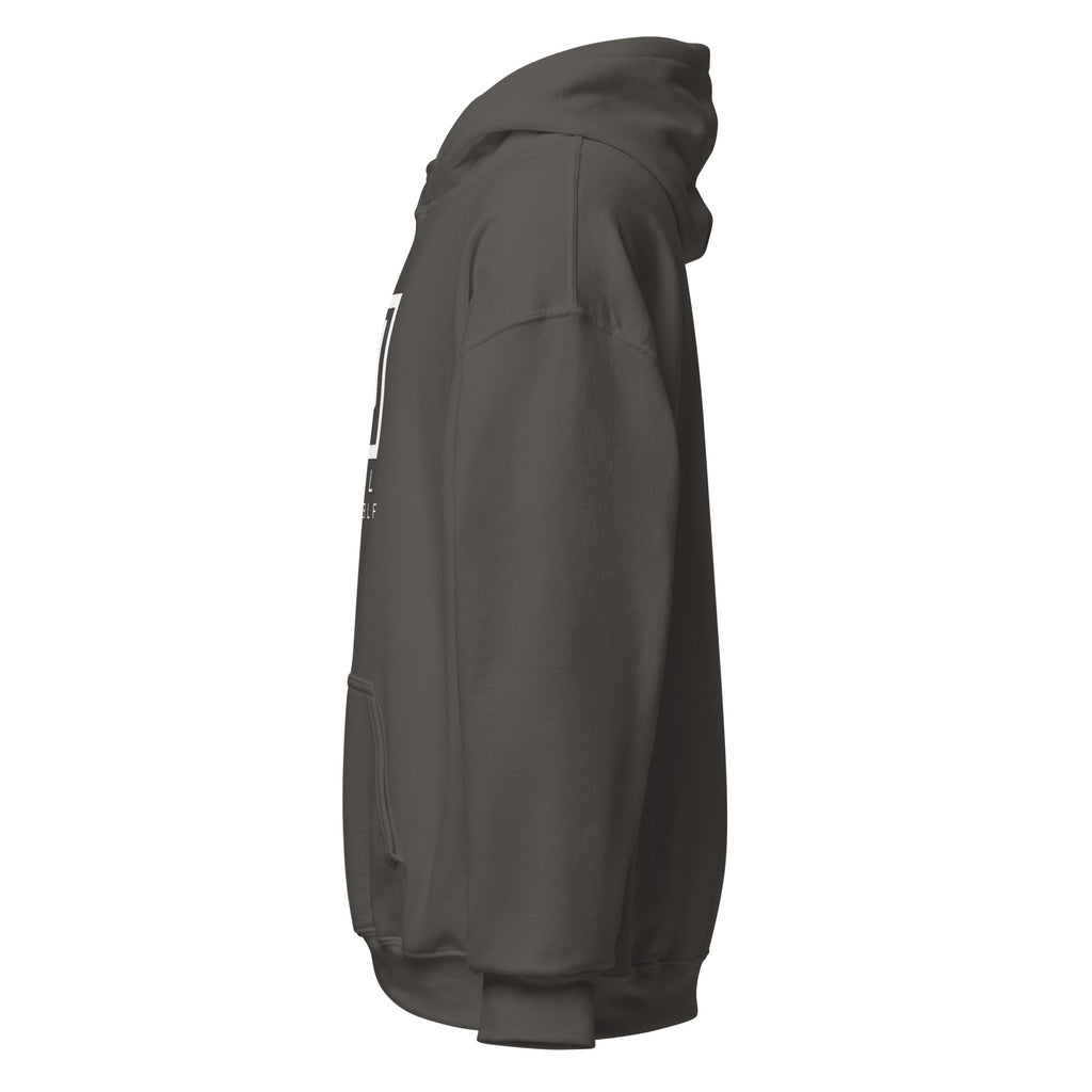 HAIL YOURSELF LivEƎvi⅃ Big & Tall graphic hoodie in charcoal, left view