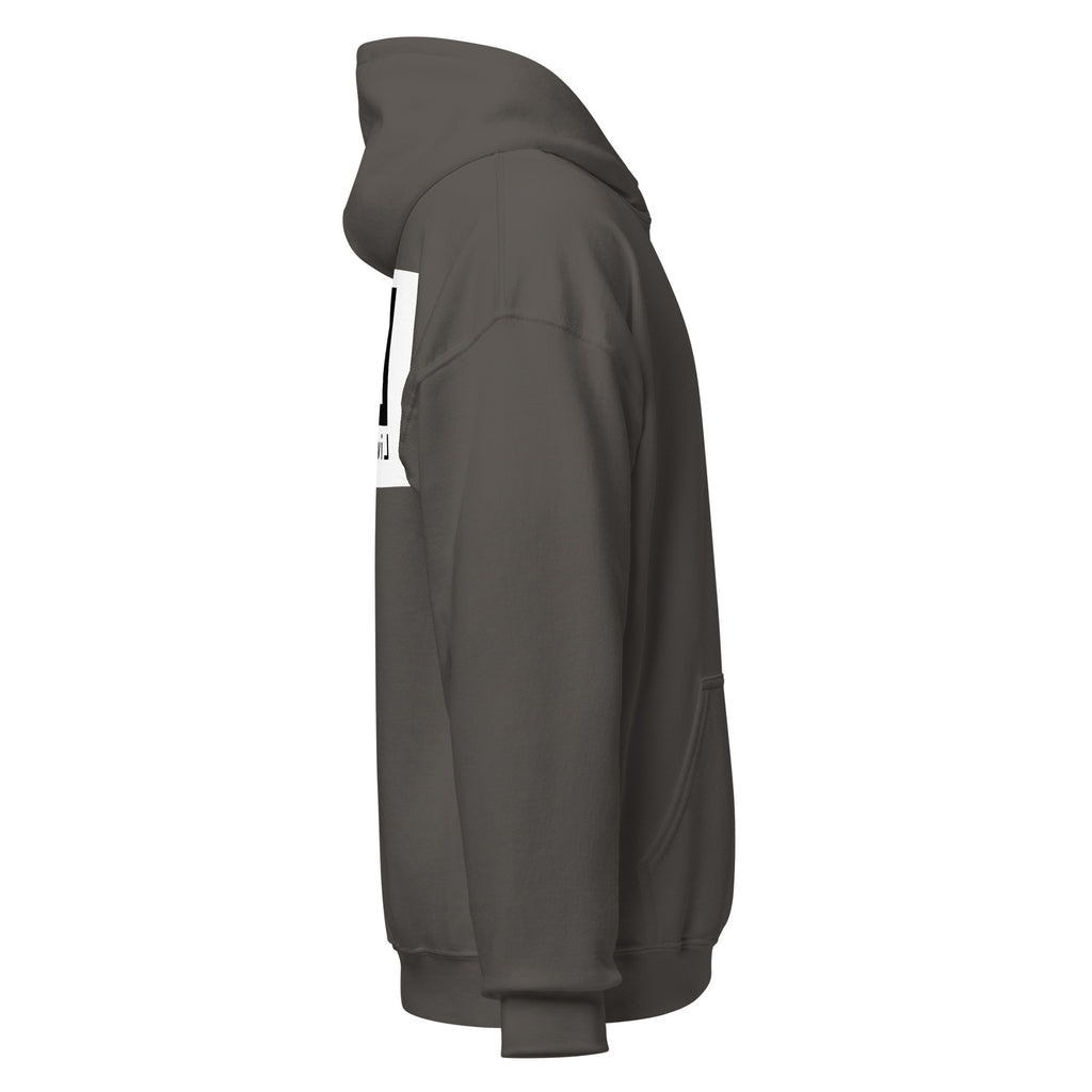 LivEƎvi⅃ 3OF3 Big & Tall graphic hoodie in charcoal, right view