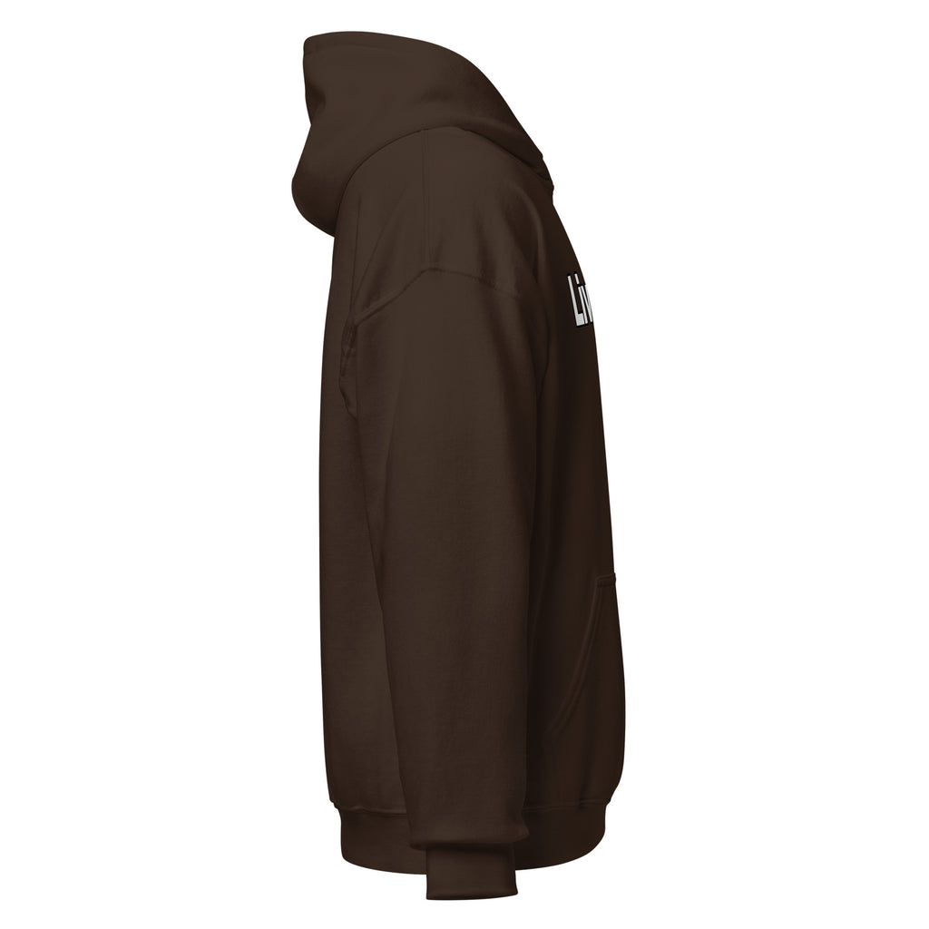 LivEƎvi⅃ 1OF3 Big & Tall graphic hoodie in dark chocolate, right view