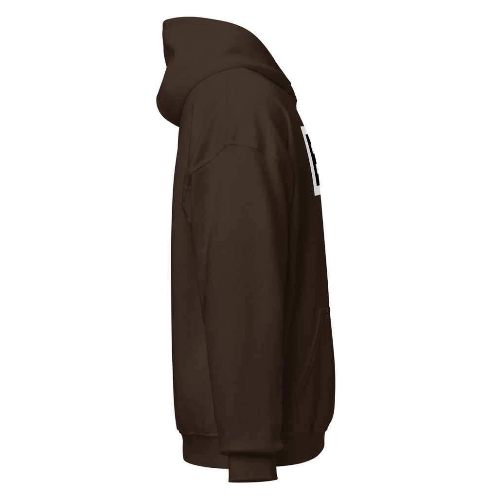 LivEƎvi⅃ 2OF3 Big & Tall graphic hoodie in dark chocolate, right view