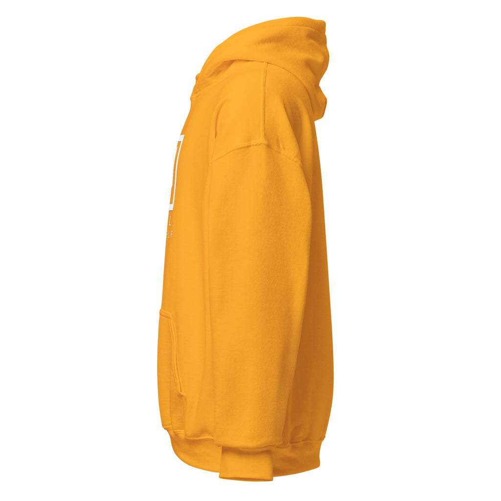 HAIL YOURSELF LivEƎvi⅃ Big & Tall graphic hoodie in gold, left view