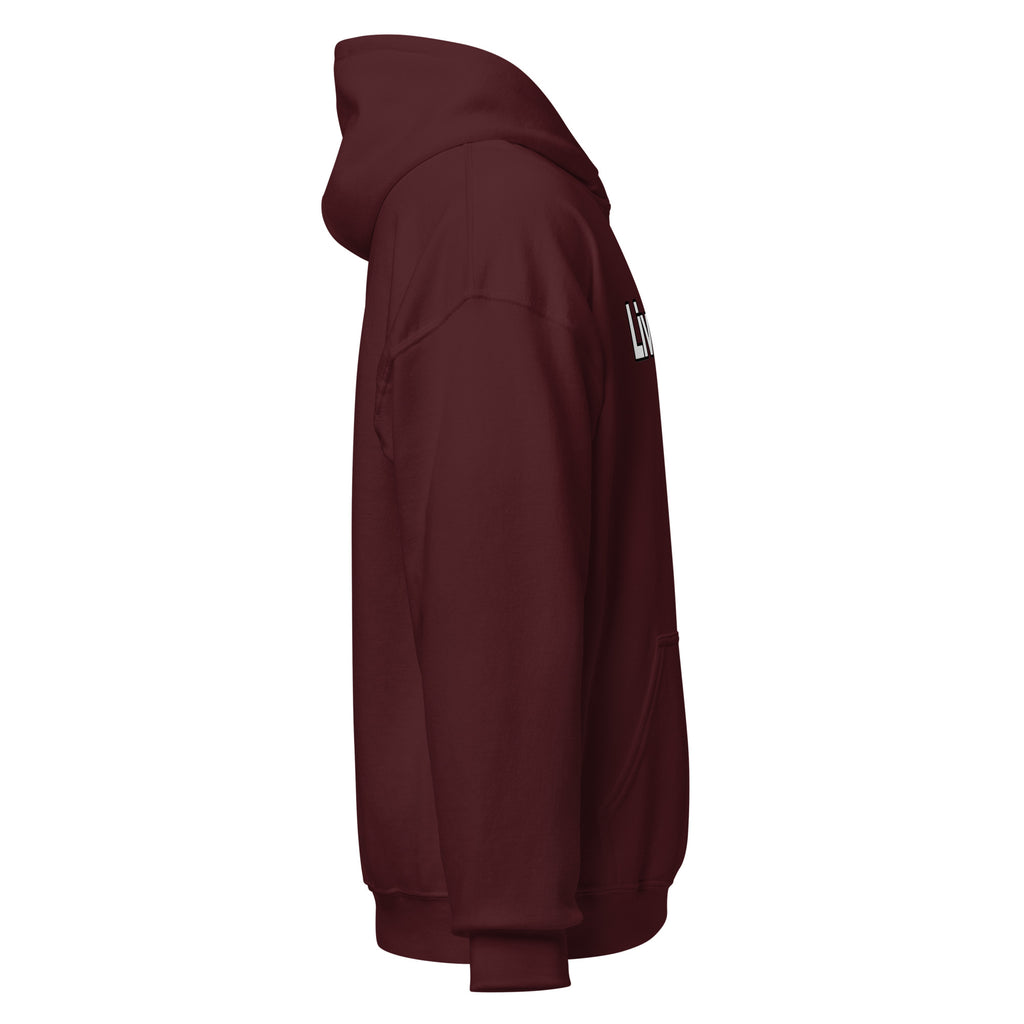 LivEƎvi⅃ 1OF3 Big & Tall graphic hoodie in maroon, right view