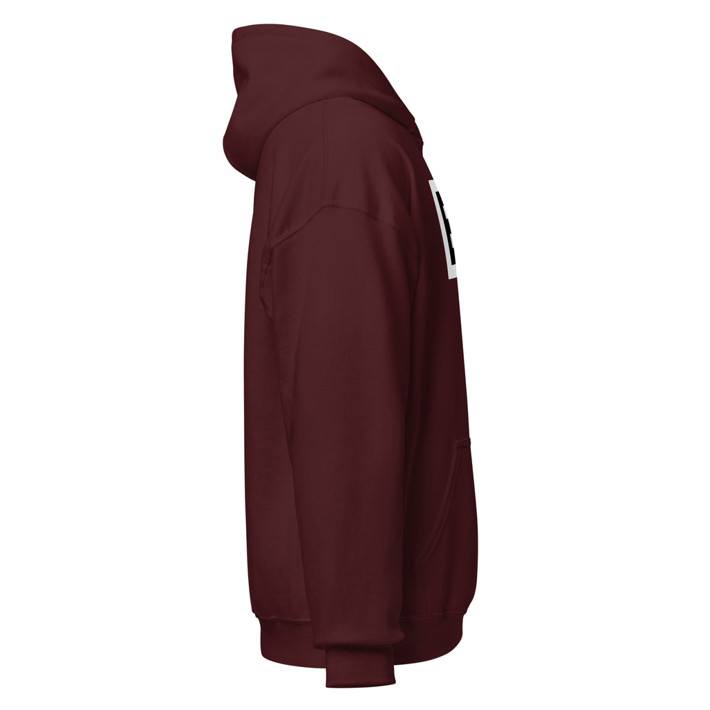 LivEƎvi⅃ 2OF3 Big & Tall graphic hoodie in maroon, right view