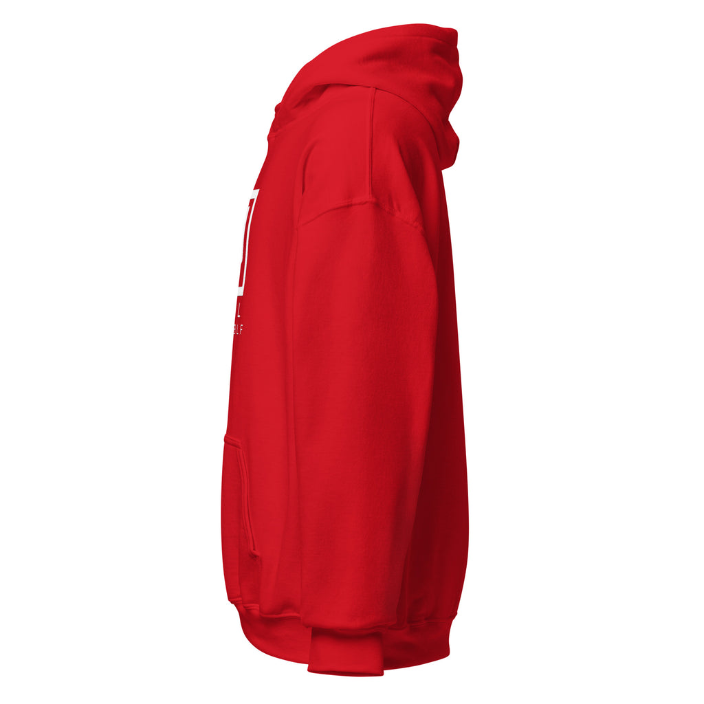 HAIL YOURSELF LivEƎvi⅃ Big & Tall graphic hoodie in red, left view