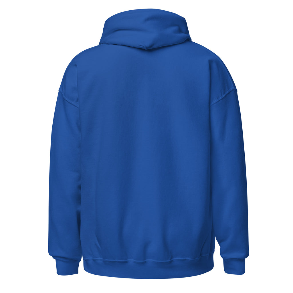 LivEƎvi⅃ 2OF3 Big & Tall graphic hoodie in royal blue, back view