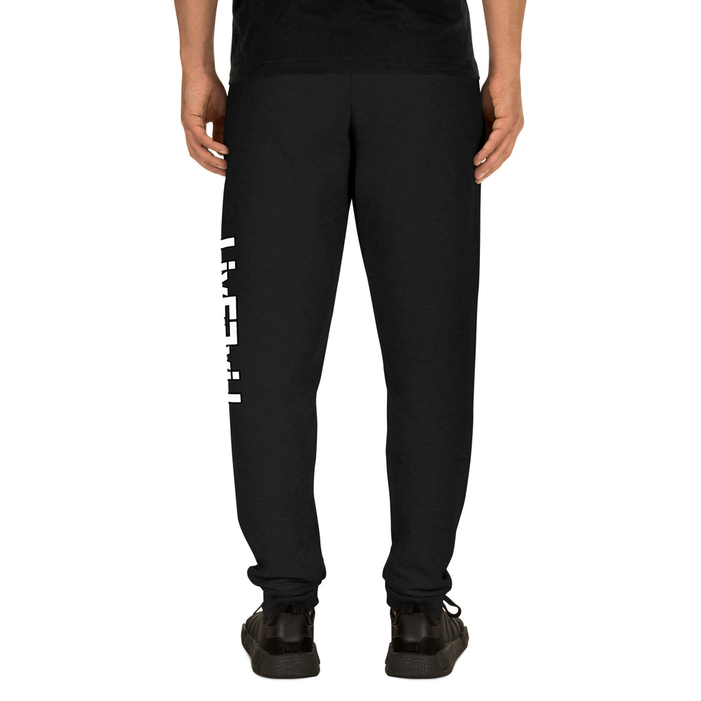 LivEƎvi⅃ unisex joggers in black, back view