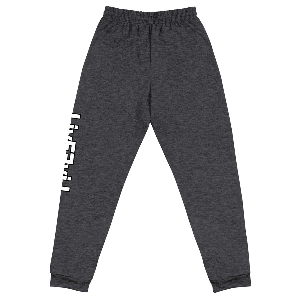 LivEƎvi⅃ unisex joggers in black heather, back view