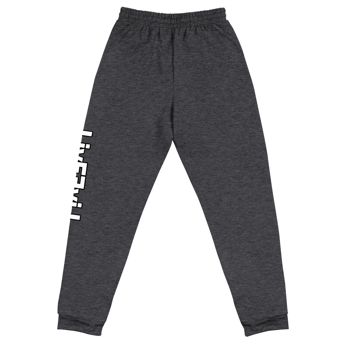 LivEƎvi⅃ unisex joggers in black heather, back view