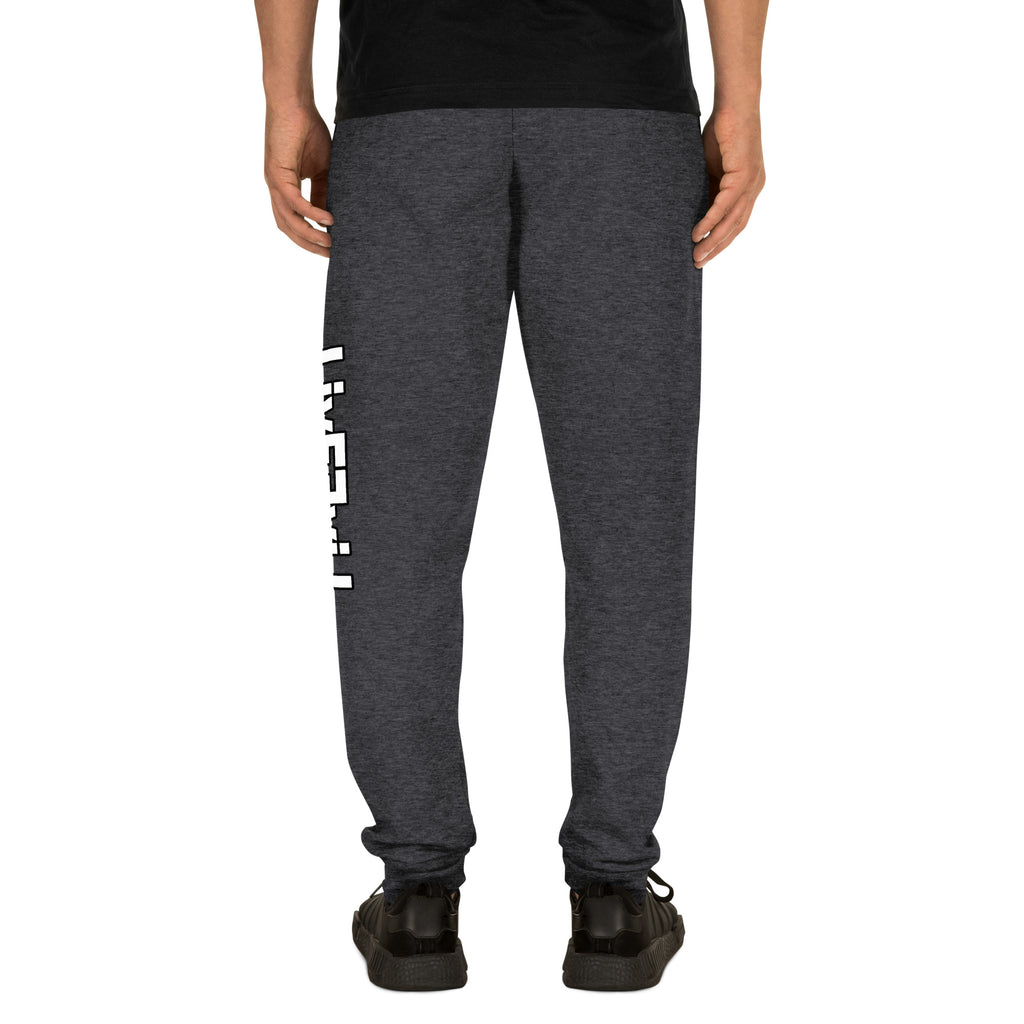 LivEƎvi⅃ unisex joggers in black heather, back view