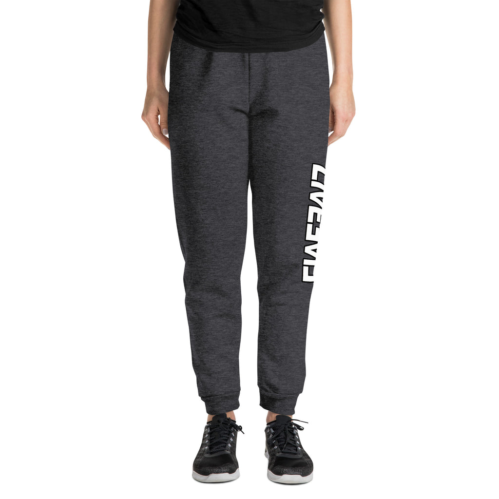LivEƎvi⅃ unisex joggers in black heather, front view