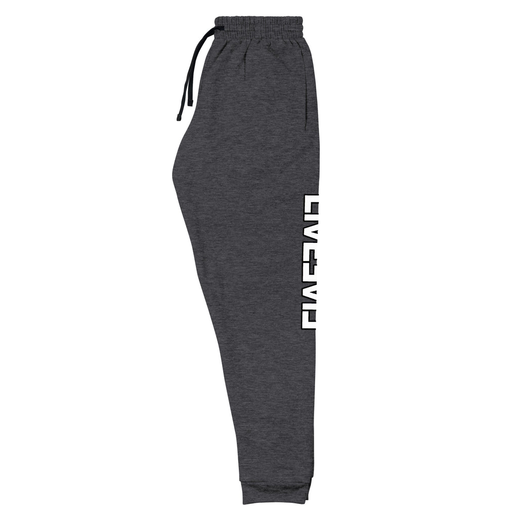 LivEƎvi⅃ unisex joggers in black heather, left front view