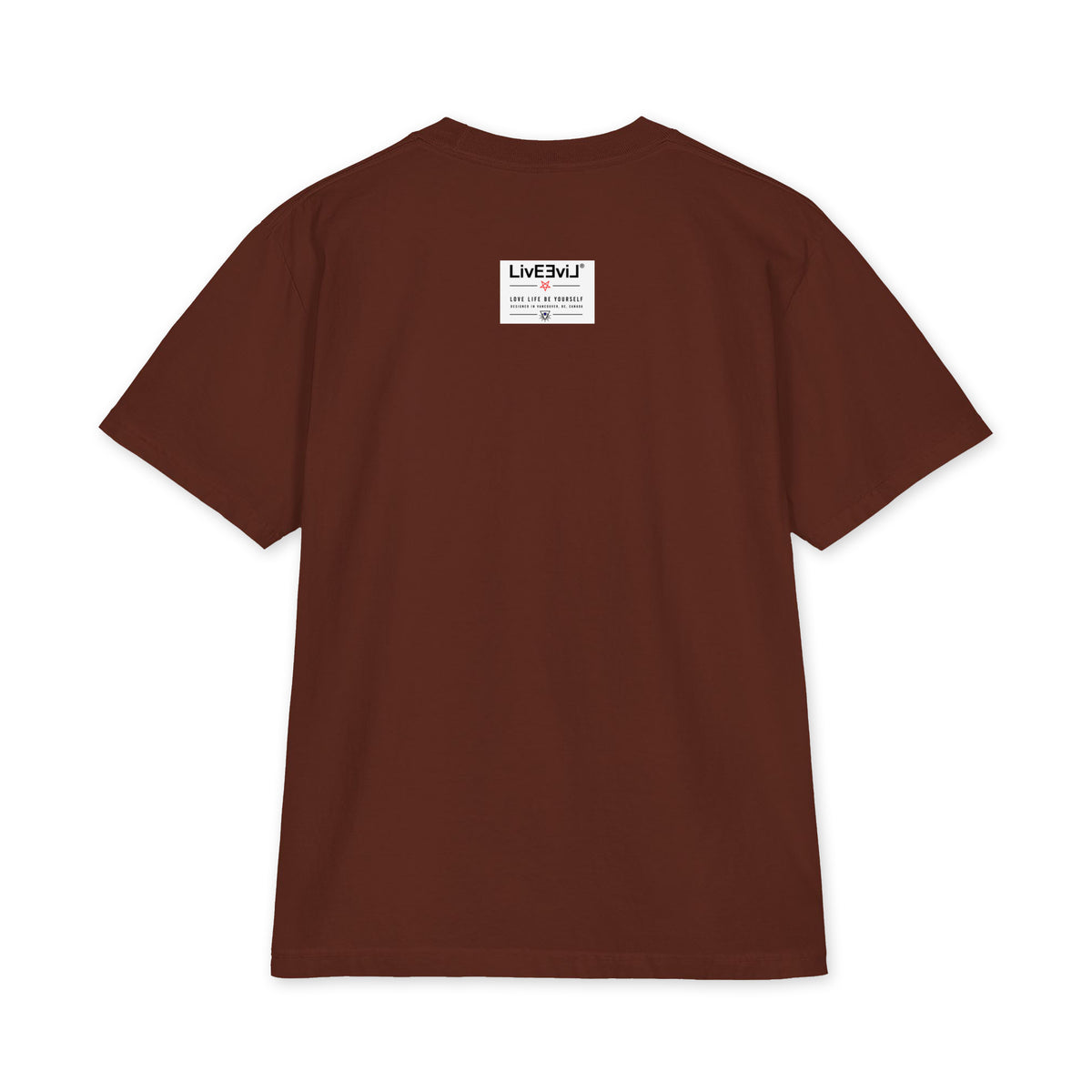 LivEƎvi⅃ Pentagram Big & Tall heavyweight graphic tee in brown, back view