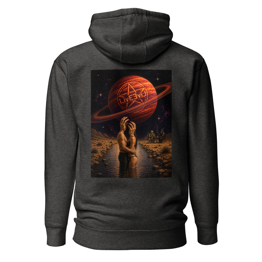 The Wendell LivEƎvi⅃ graphic hoodie in charcoal heather, back view